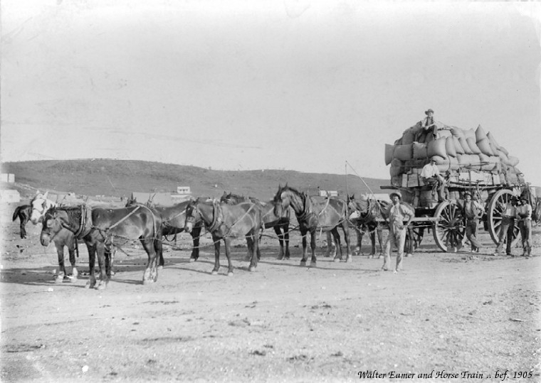 Walter Eamer and Horse Train