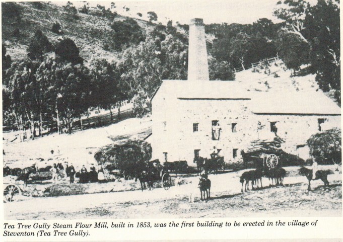 Flour Mill Tree Tree Gully